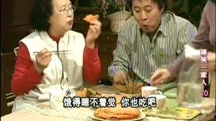 搞笑一家人国语版下载,欢乐家庭日常，笑料百出下载指南